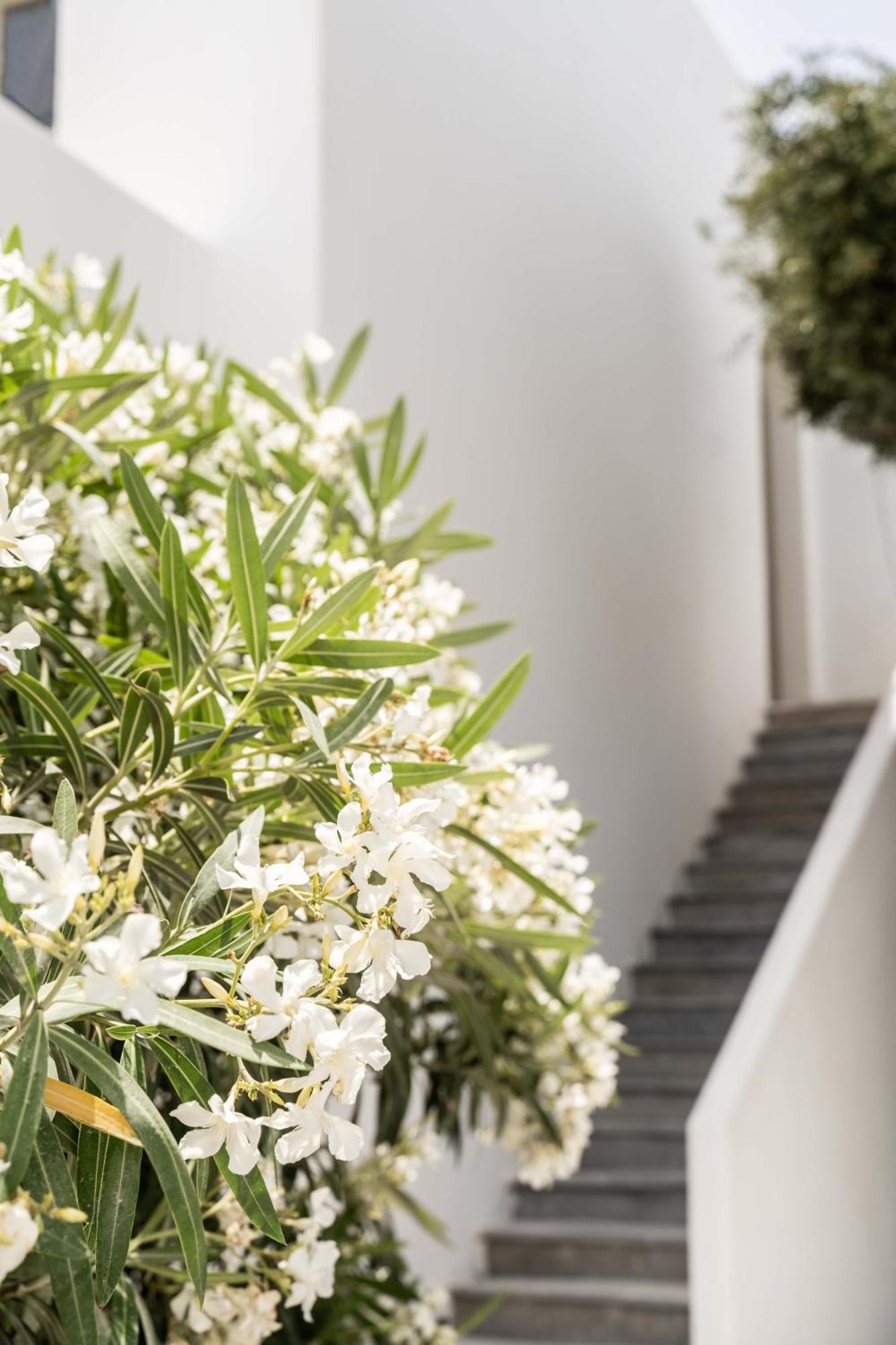 Philosophy Of Mykonos Boutique Hotel Mykonos Town Ngoại thất bức ảnh