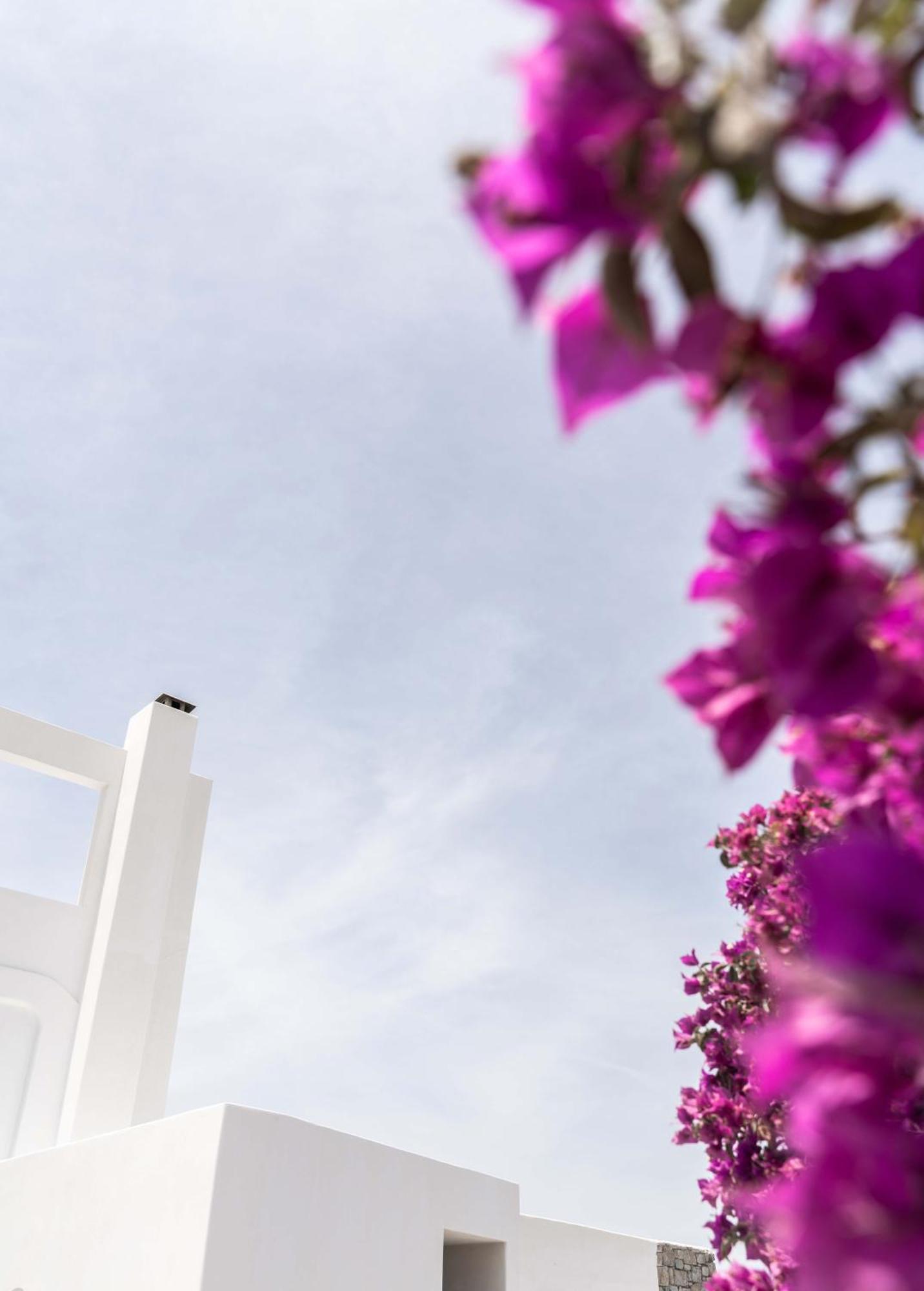 Philosophy Of Mykonos Boutique Hotel Mykonos Town Ngoại thất bức ảnh